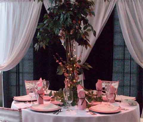 Miller's Party Rental Center Gallery of Ideas